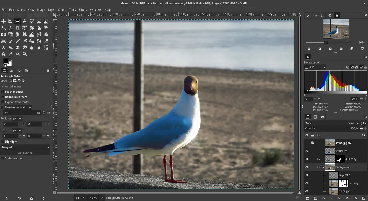 GIMP 3.0 editing a gull-on-beach photograph with layers, tools, and histogram visible